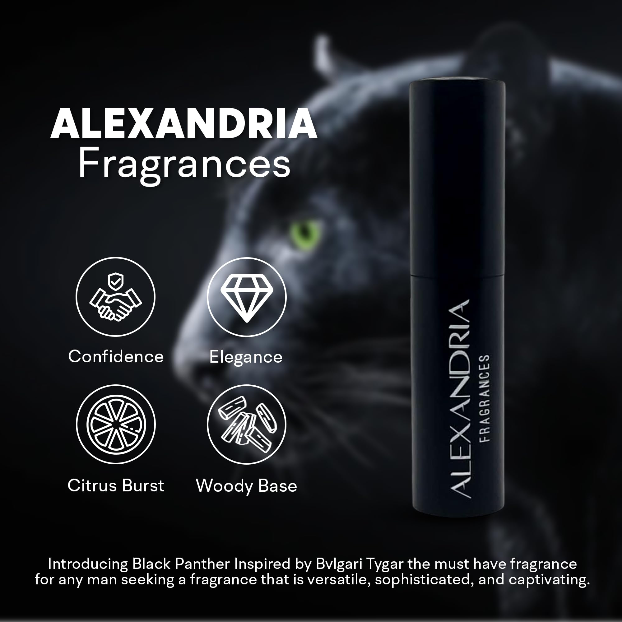 Amazon.com : Alexandria Fragrances Black Panther Perfume - Long
